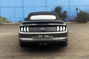 17 (Custom)